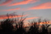 IMG_1330 (600 x 400)