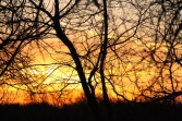 IMG_1304 (600 x 400)