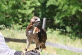 IMG_0657 (600 x 400)